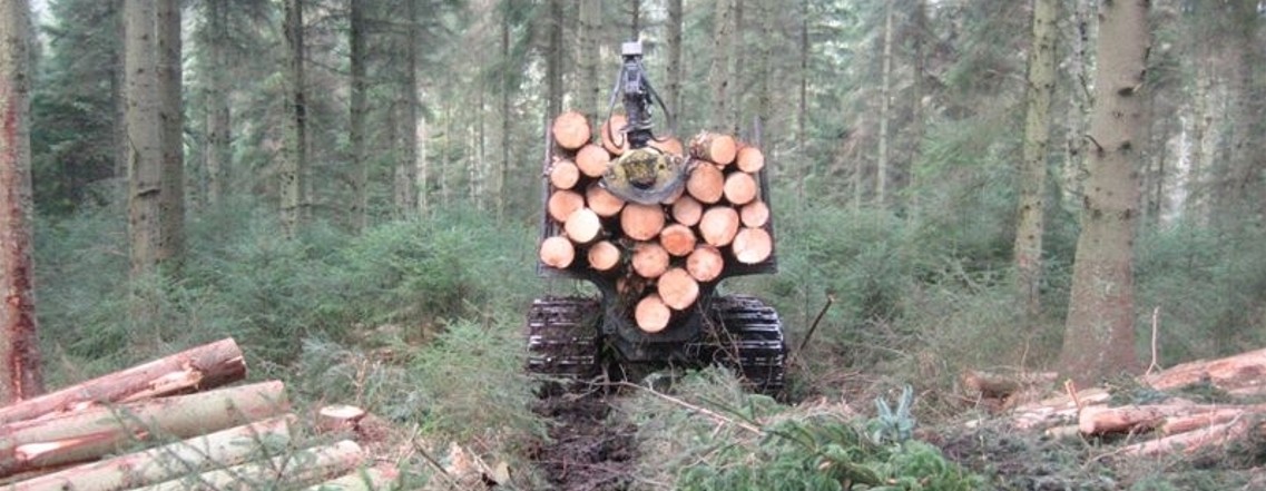 Forest machinery gathering newly chopped logs.