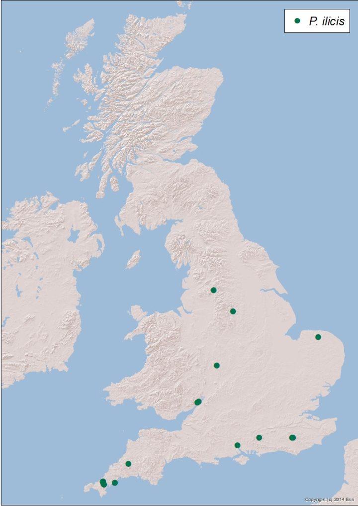 Mapping the Distribution of Phytophthoras in Britain - Forest Research