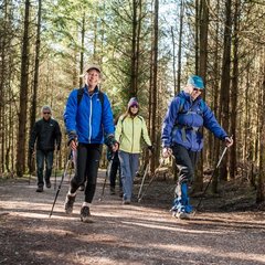 Active Forest Nordic walking at Ha.2e16d0ba.fill 240x240 1