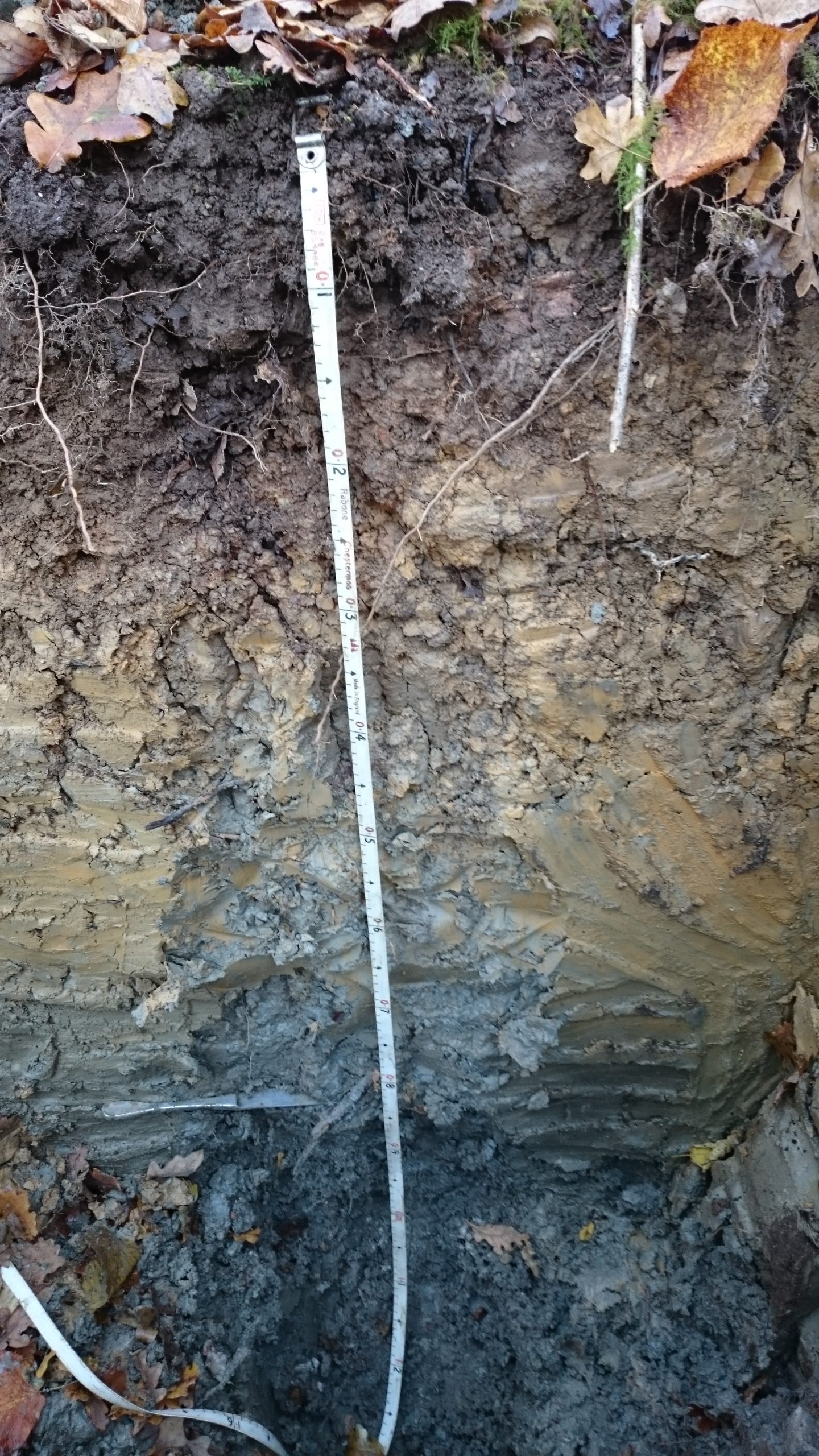 rita soil pit scaled