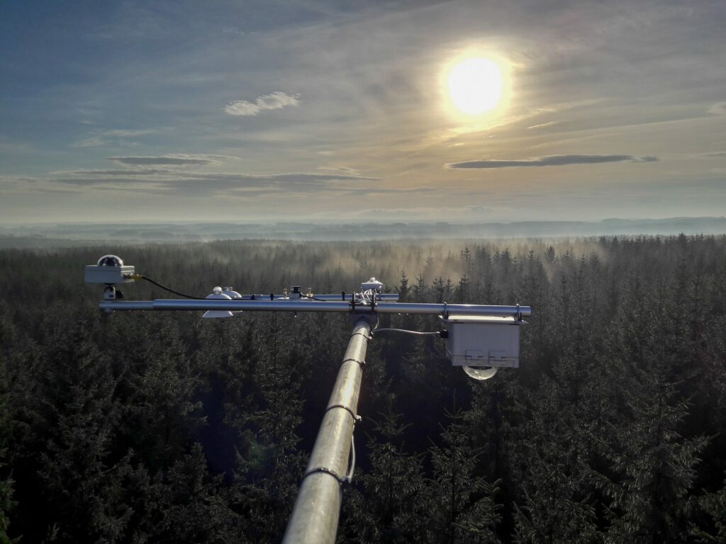 An image taken from the top of a measurement tower, showing some automated environmental recording instruments above a stand of conifers from which mist is gently rising.