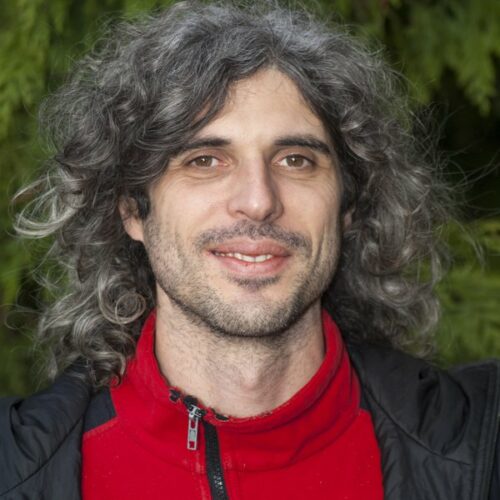 Rubén Manso - Forest Research