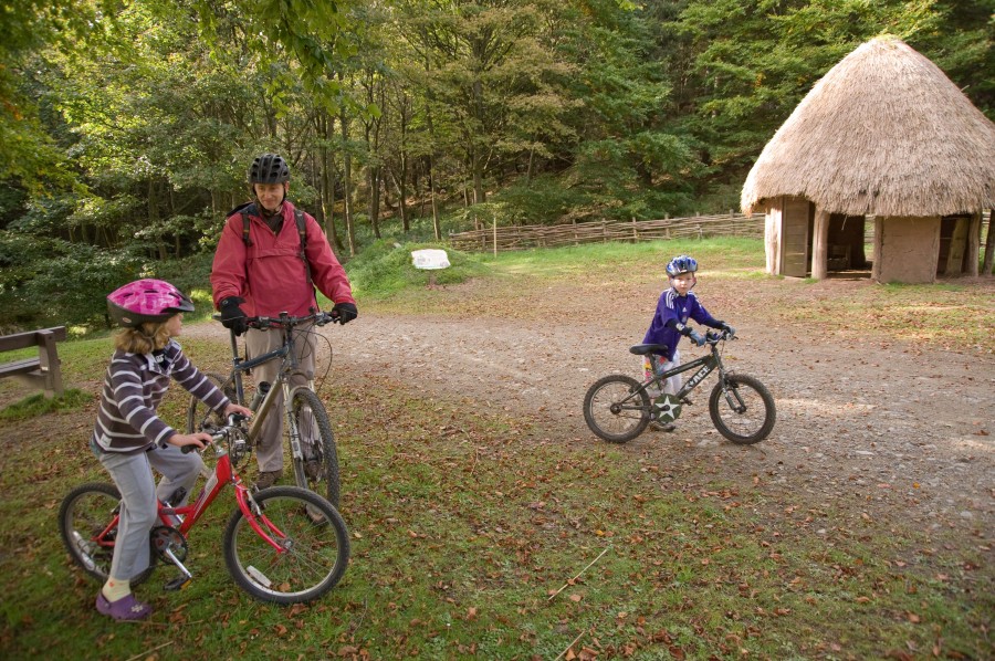 Family on bikes in woodland