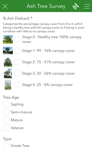 Annimated gif of Ash tree survey on mobile phone