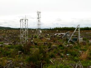 Harwood tower clear-fell site