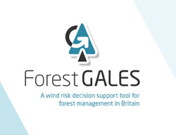 ForestGales_logo_2015.jpg