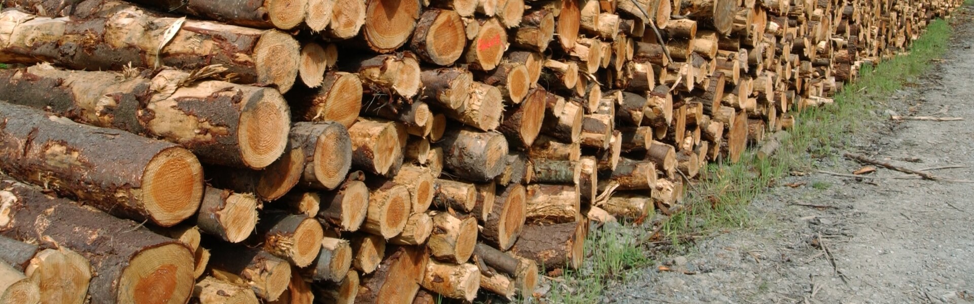 forestry timber price indices