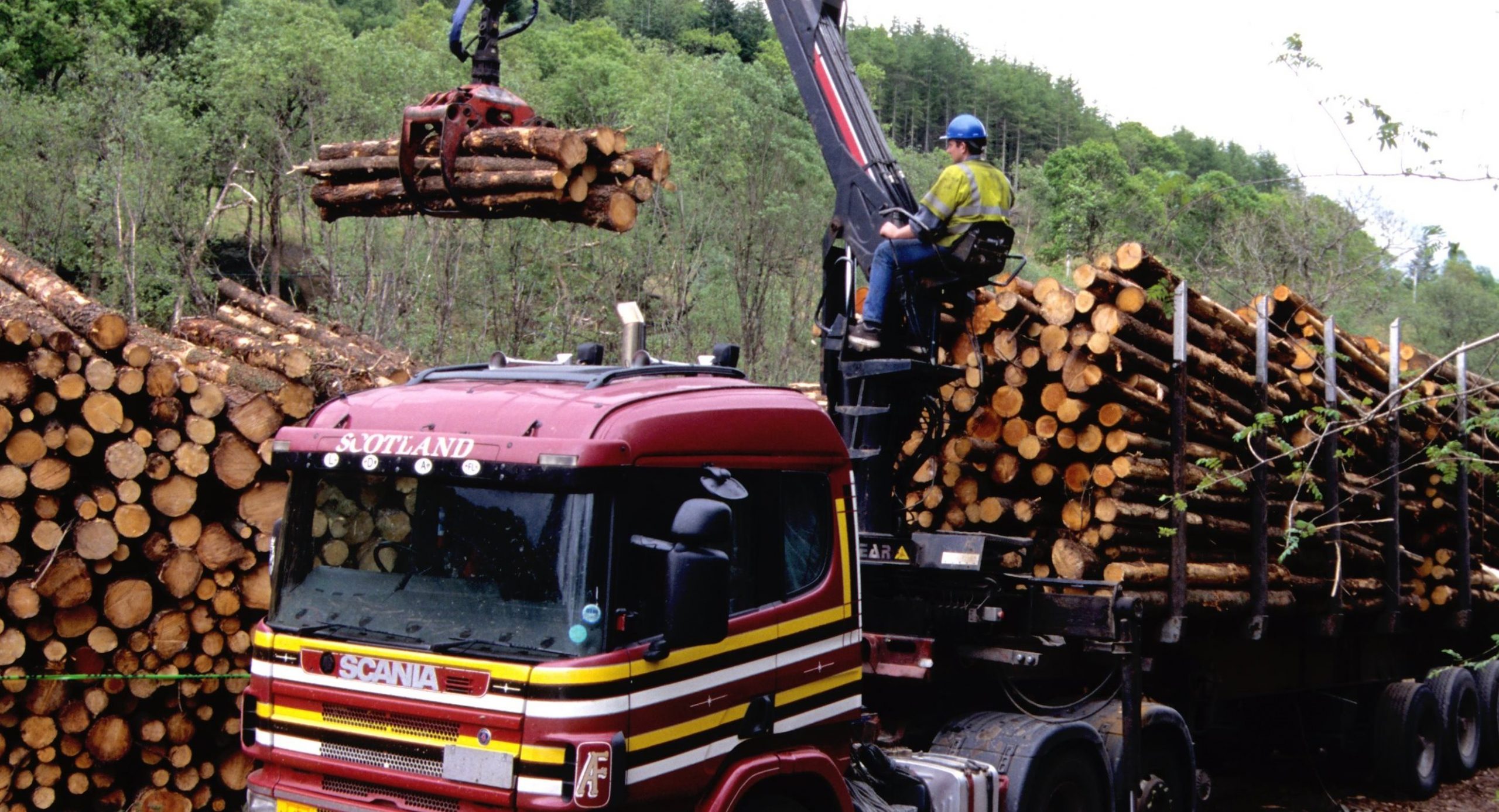 Lorry loading logs.jpg