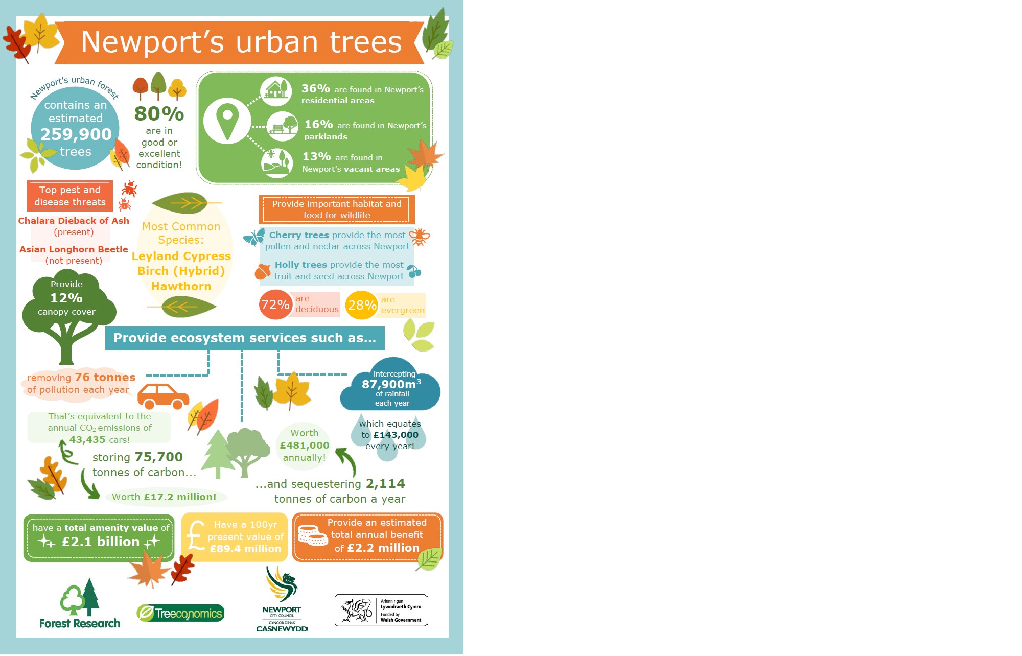 Infographic about results of i-Tree Eco study of Newport's urban trees
