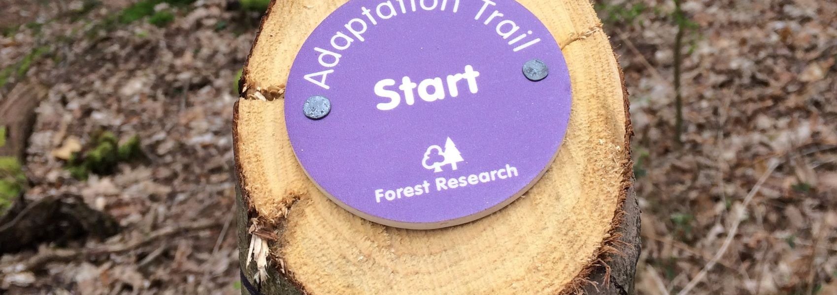 A circular sign, in Forest Research colours and mounted on a cut end of a vertical standing log, indicating the start of the Adaptation Trail at Alice Holt.