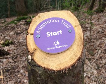 A circular sign, in Forest Research colours and mounted on a cut end of a vertical standing log, indicating the start of the Adaptation Trail at Alice Holt.
