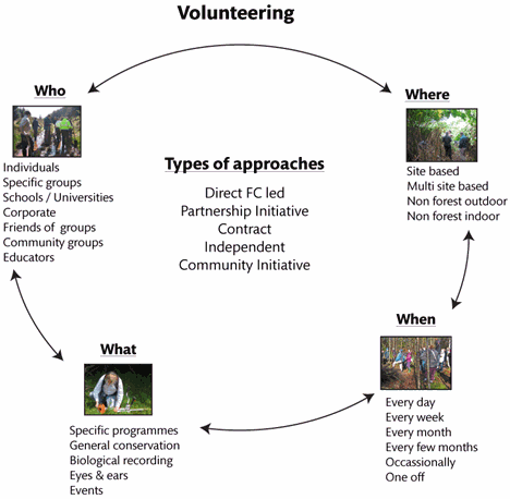 volunteering_framework.gif