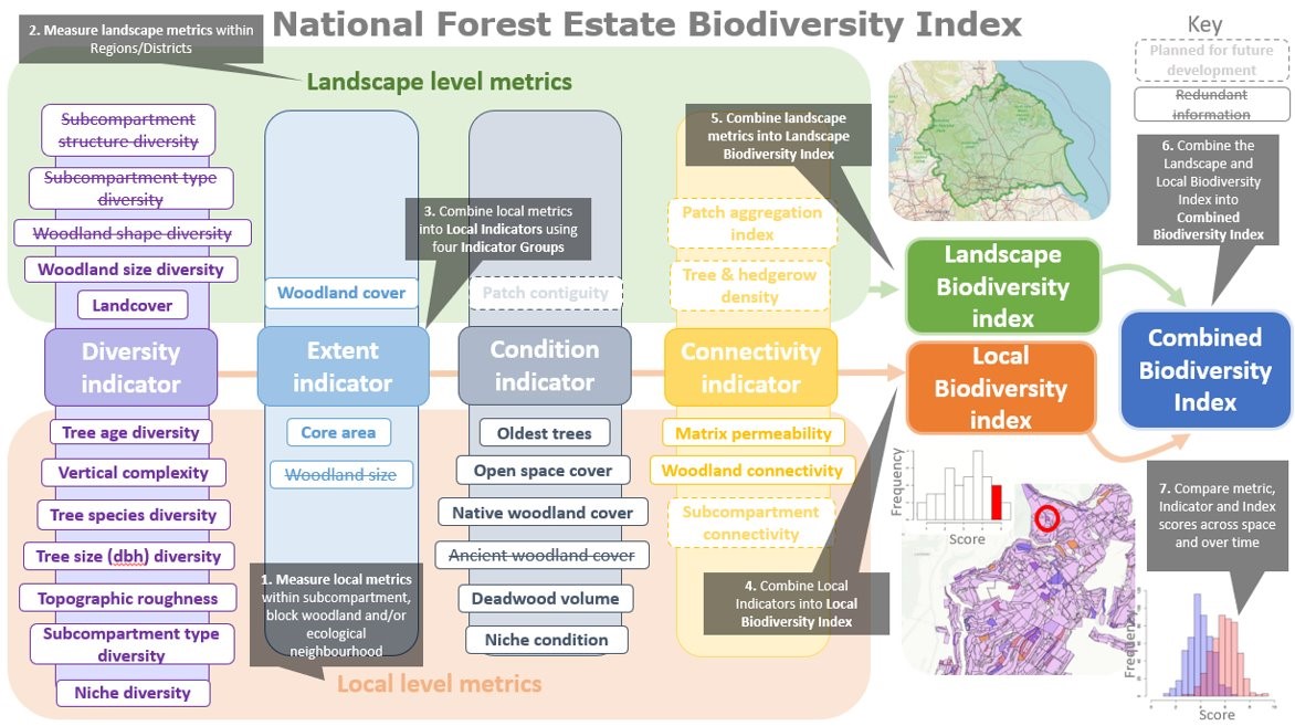 Woodland_biodiversity_ind_workschematic