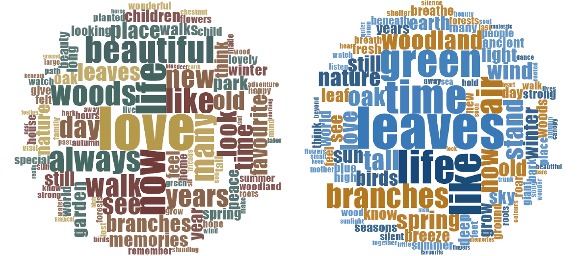 Word clouds.png