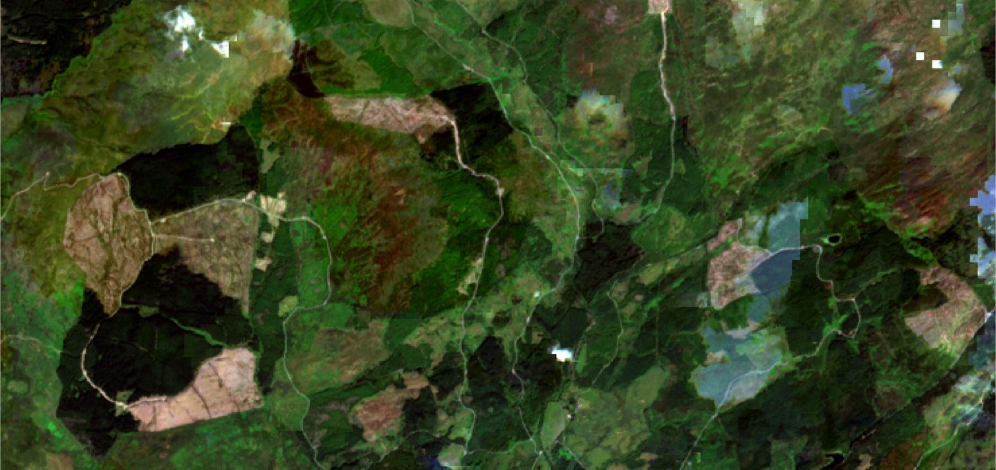 Satellite image showing rural landscape