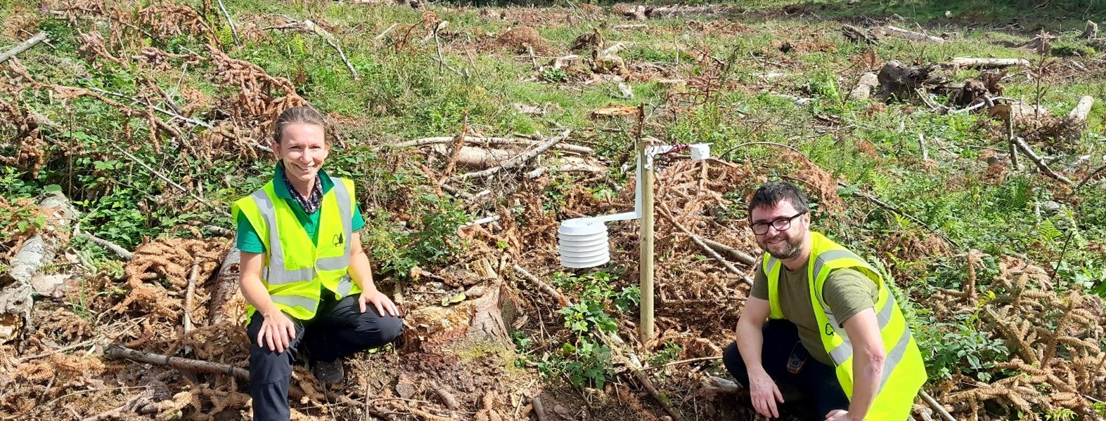 Leone Olivieri and Racheal Lee by monitoring instrumentation in an area of recently-felled woodland.