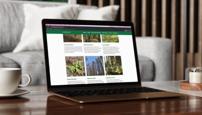 Coming Soon Forest Research