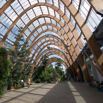 Climate change and carbon in wood products