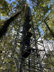 BBC Countryfile presenter Tom Heap climbs the flux tower at Alice Holt.