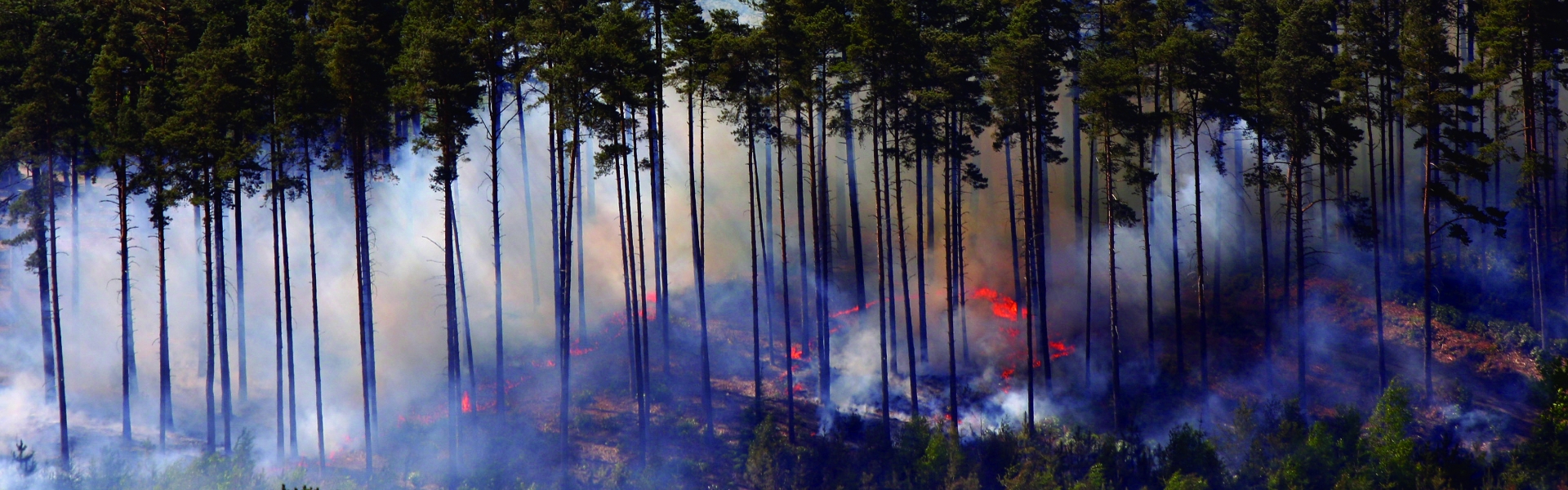 How destructive wildfires create their own weather