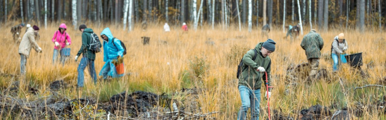 Take Action Forest Research