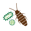 Pests & Diseases