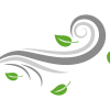 Windthrow