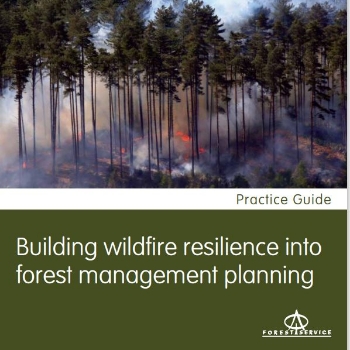 Building wildfire resilience into forest management planning  