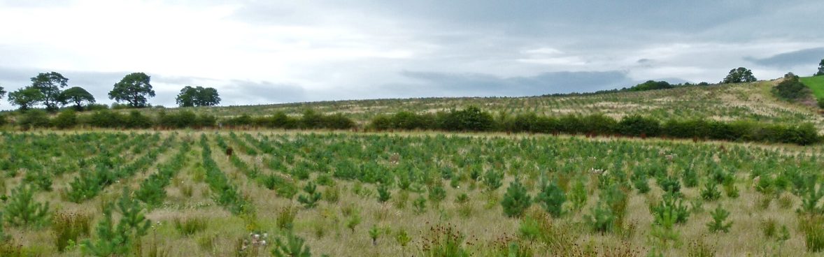 Resources Forest Research