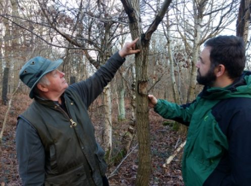 Take Action Forest Research