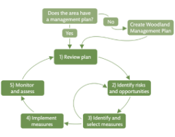 5-step adaptation framework
