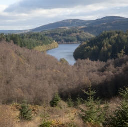 Climate-ready forestry at Queen Elizabeth Forest Park