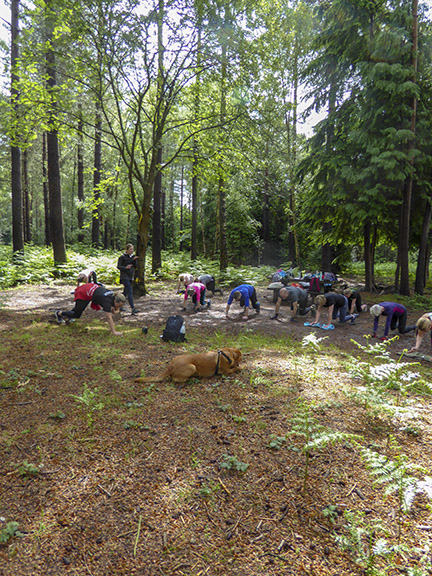 People in a forest doing a fitness activity as part of a bootcamp