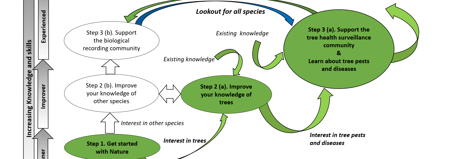 Diagram showing the Tree Health Learning Pathway