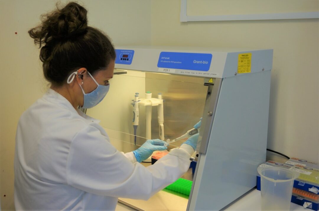 Tree Health Diagnostic and Advisory Service - Forest Research