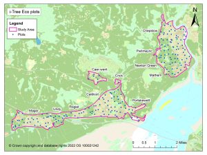 Map of Chepstow and Severnside i-Tree Eco study area and location of sample plots.