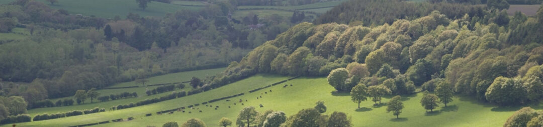 Welcome To The Climate Change Hub Forest Research