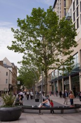 Cardiff city landscape with urban trees. The Hayes 