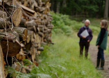 Bell Coppice adaptation case study video