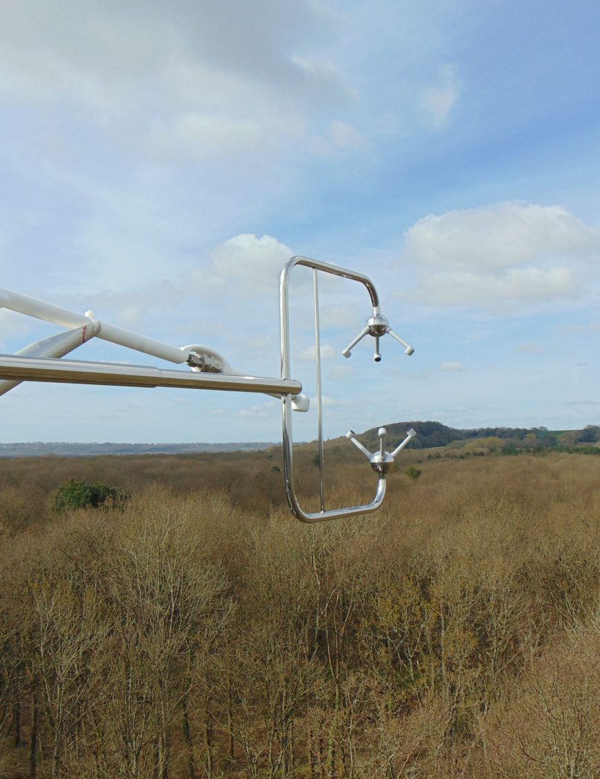 Factsheet Climate Change And Forest Carbon Forest Research