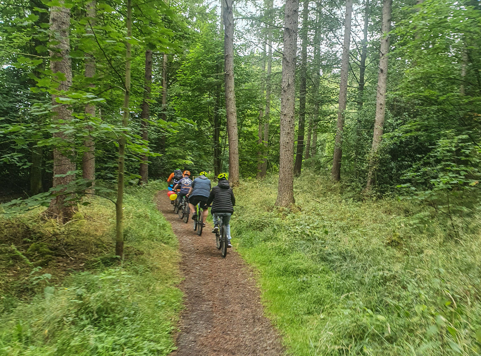 An image of a woodland path with a group of cyclists cycling away from the camera.