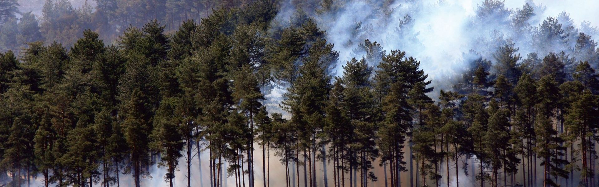 Broadmoor on alert as forest fire spreads.