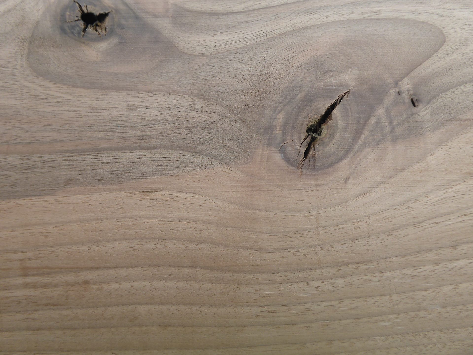 Common walnut timber.