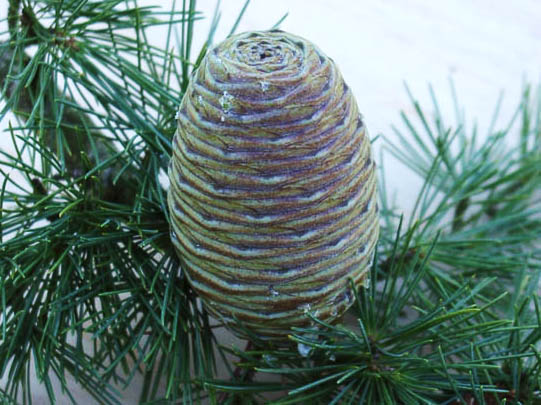 Cone of a cedar-of-Lebanon.