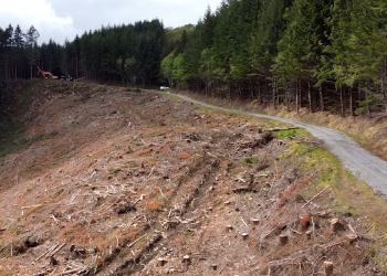 Steep slope harvesting near the A82 in Scotland. Image: Forestry and Land Scotland.