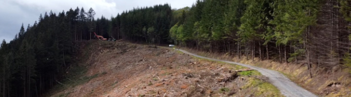 The A82 project. Image: Forestry and Land Scotland.