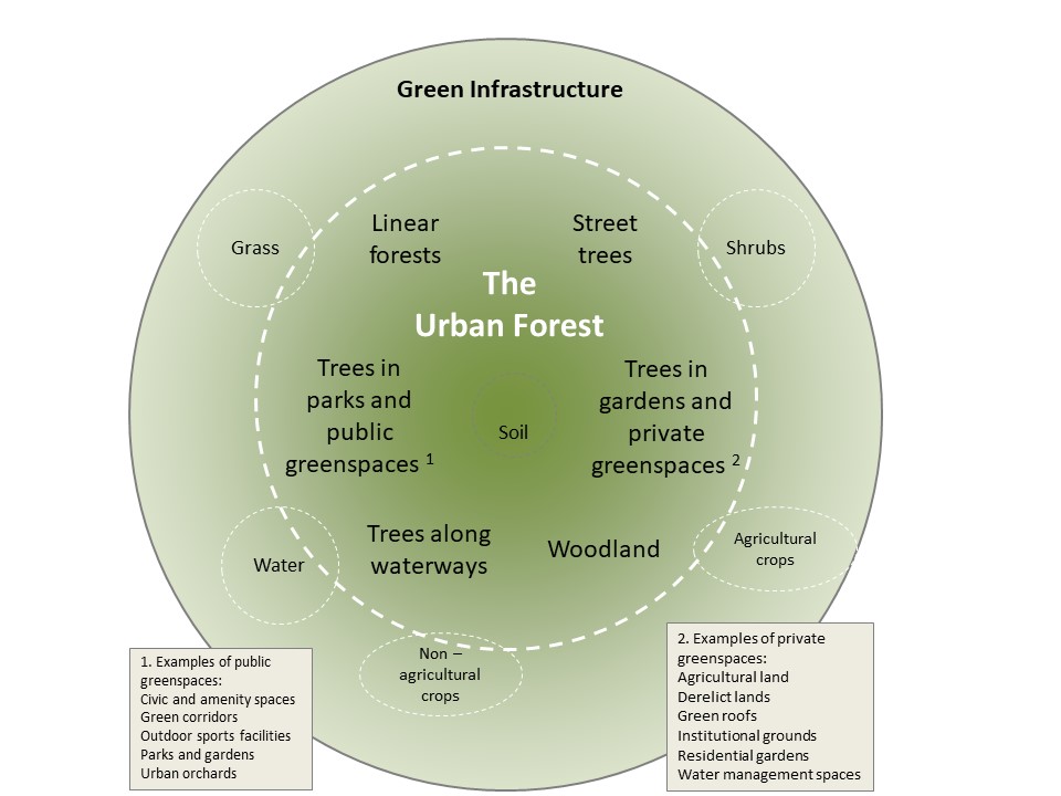 Diagram showing the urban forest as part of wider urban green infrastructure