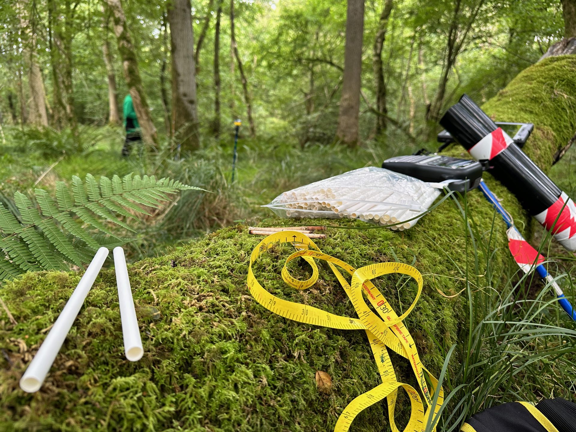 Dendrochronology fieldwork at a semi-natural site in England and example of kit required.