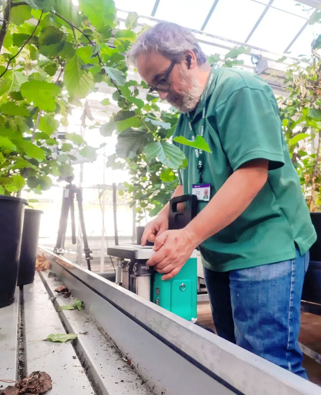 Gas exchange measurements in a controlled environment.