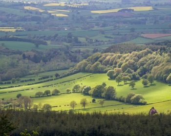 Major research investment into national land use transformation